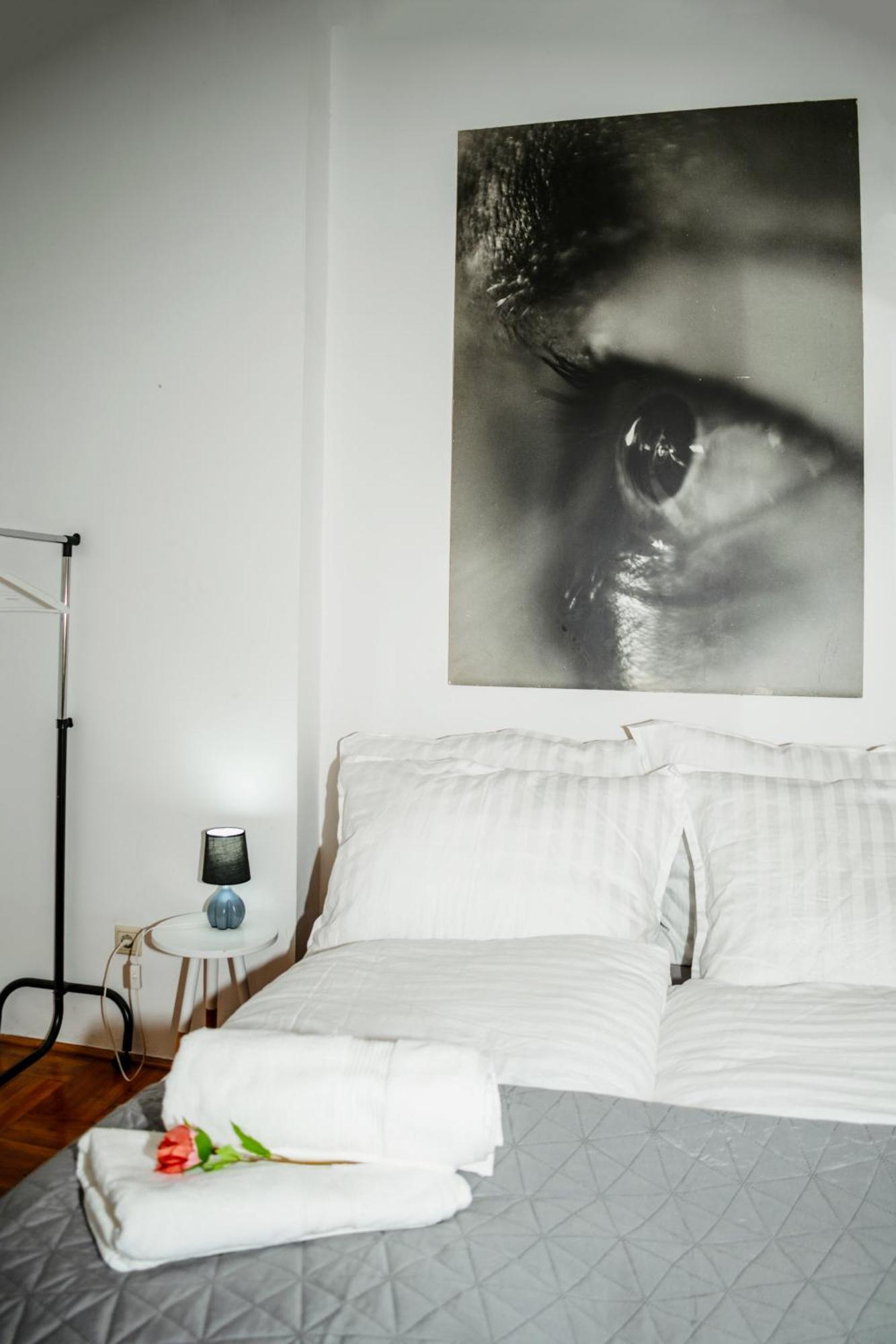 Heart Of The City, Entire Very Big Apartment بودابست المظهر الخارجي الصورة